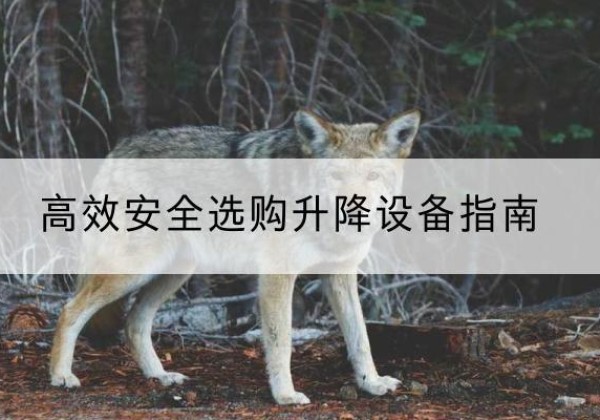 顺平升降货梯厂家推荐-*安全选购升降设备指南