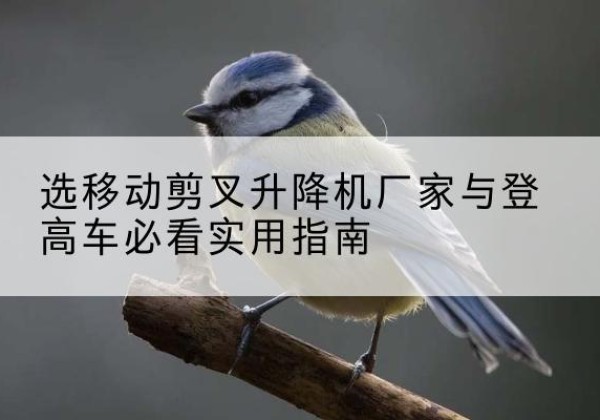 顺平电动升降机厂家-选移动剪叉升降机厂家与登高车必看实用指南