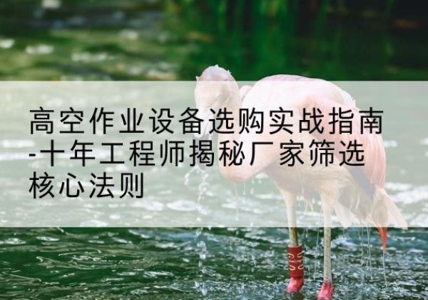 顺平剪叉式升降机厂家-高空作业设备选购实战指南-十年工程师揭秘厂家筛选核心法则